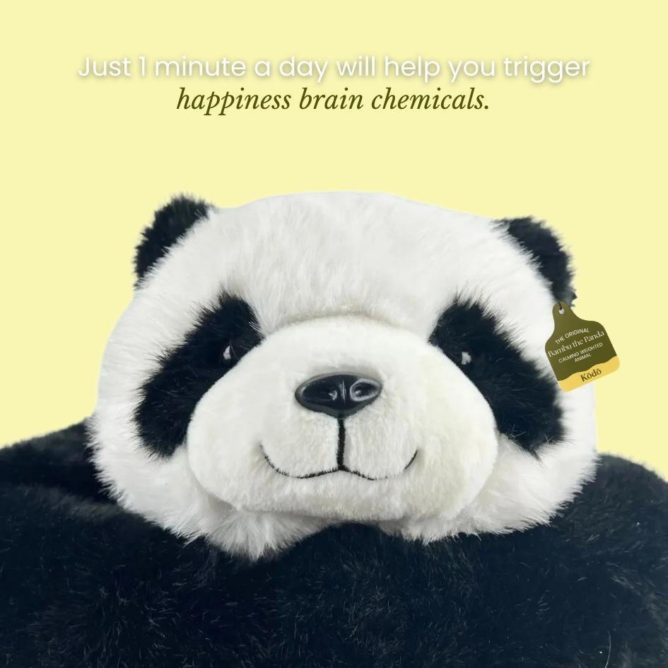 Bambu™ the Panda Weighted Animal